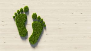 Carbon-Footprint